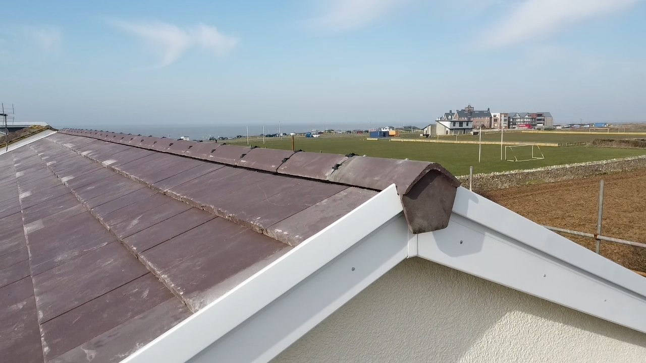 dji_fly_20250306_102046_0_1741256446600_photo_low_quality